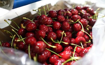 Chilean Cherries Health Benefits and Usage Ideas