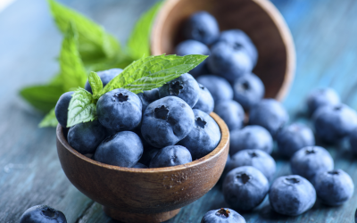 Blueberries season starts in August