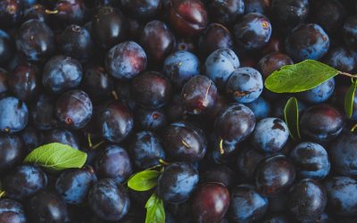 Health Benefits of Plums